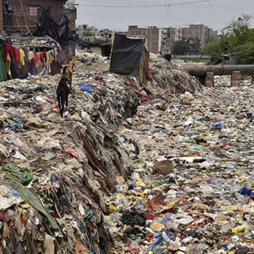 En Inde, une maison construite à partir de bouteilles en plastique devient un symbole écologique