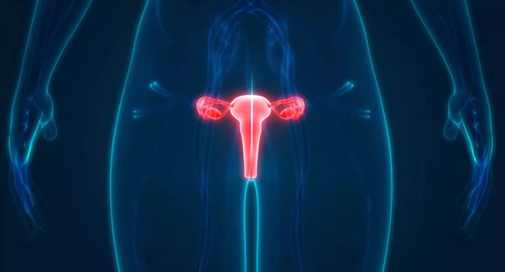 Dépistage du cancer du col de l’utérus : la minute info